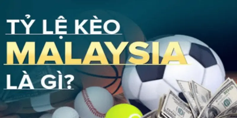 Tỷ lệ kèo Malaysia Cách đọc tỷ lệ kèo Malaysia chính xác
